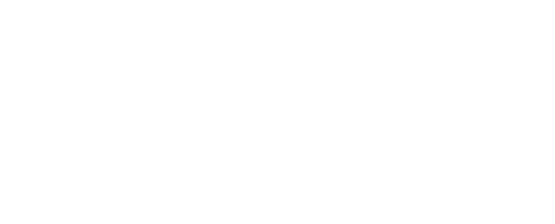 FIRE Master Engineering